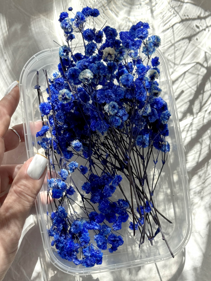 Сухоцветы Гипсофилы, синие