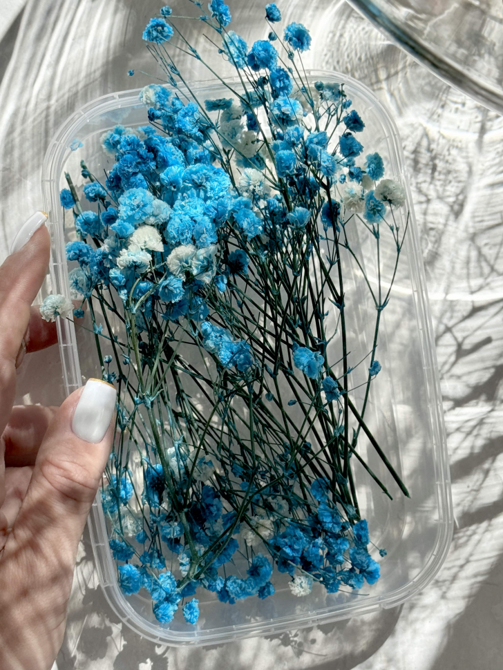 Сухоцветы Гипсофилы, голубые