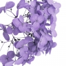 Стабилизированные цветы Гортензии (фиолетовые) 