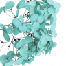 Стабилизированные цветы Гортензии (голубые) 