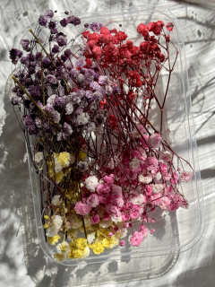 Сухоцветы Гипсофилы, набор 4 цвета