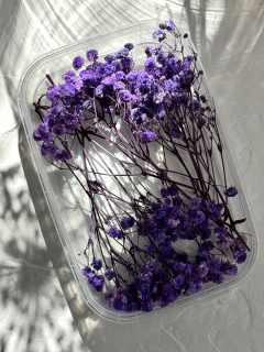Сухоцветы Гипсофилы, фиолетовые