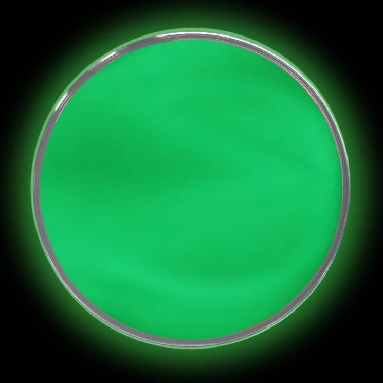 Пигмент Люминофор Зеленый, 10г