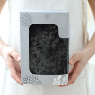Стабилизированные цветы Гортензии (черные), коробка
