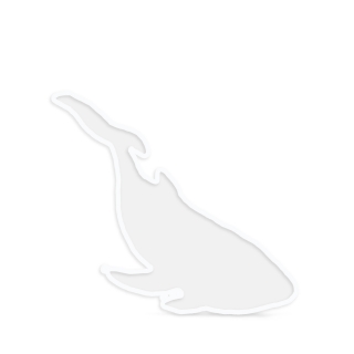 Силиконовый молд - Коастер кит, 22х9см