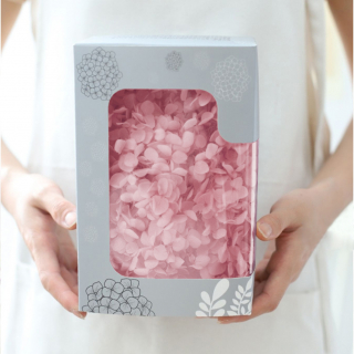 Стабилизированные цветы Гортензии (розовые), коробка