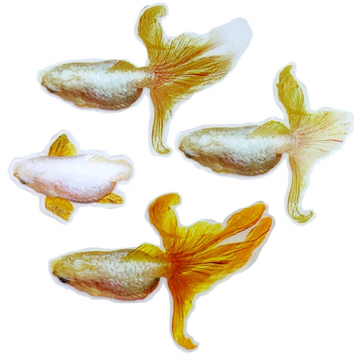 Рыбки для заливки эпоксидной смолой 3D №6
