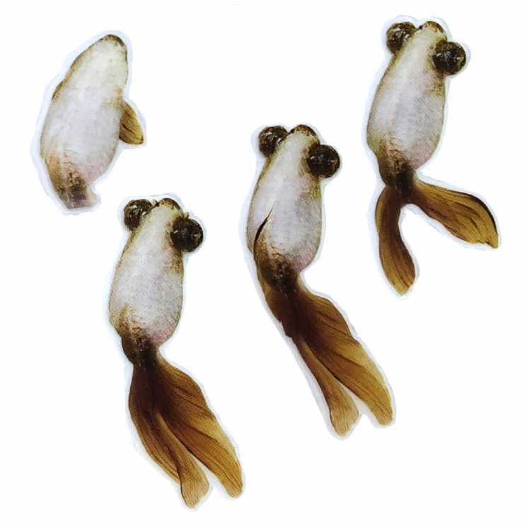 Рыбки для заливки эпоксидной смолой 3D №7