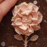 Гибкая полимерная глина Cosclay Doll, "Angelic Rose Lite", 453г